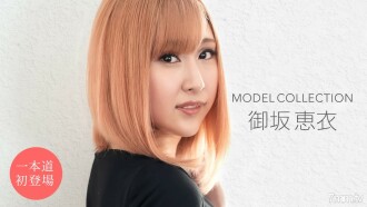 Model Collection 禦坂圭