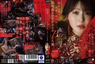 一個孤獨男人的慾望出口…一位在後巷中式服飾店打工的已婚女子。兩年後，她驚艷回歸，美貌更加耀眼。小澤菜穗