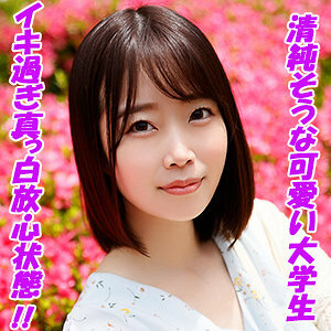 模