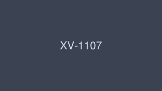 新人畢業登場 18歲8頭！南紗綾